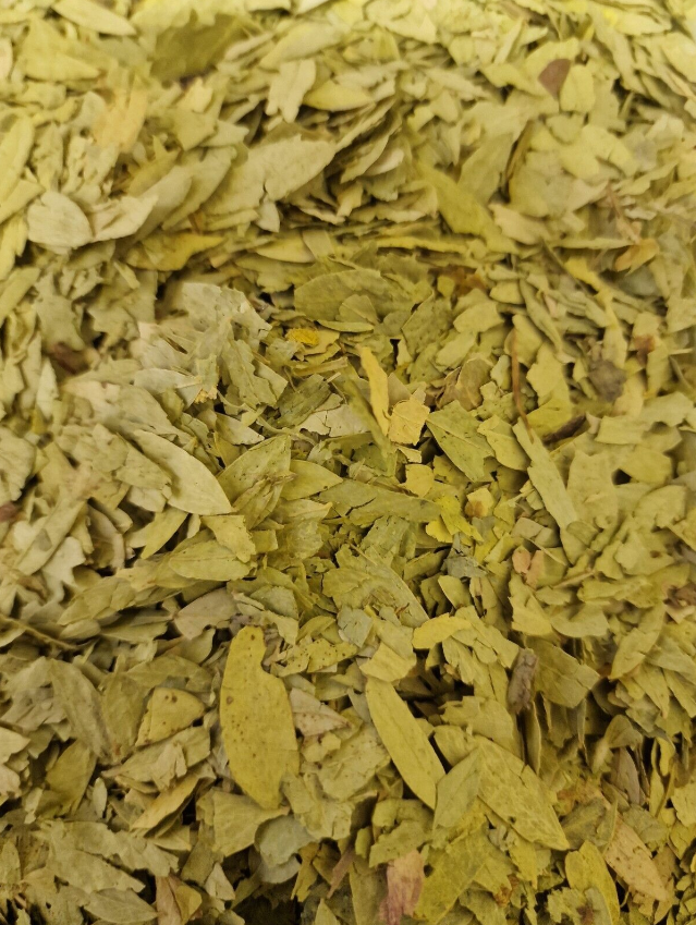 Senna Leaf Dried tea Sana Makki Senes