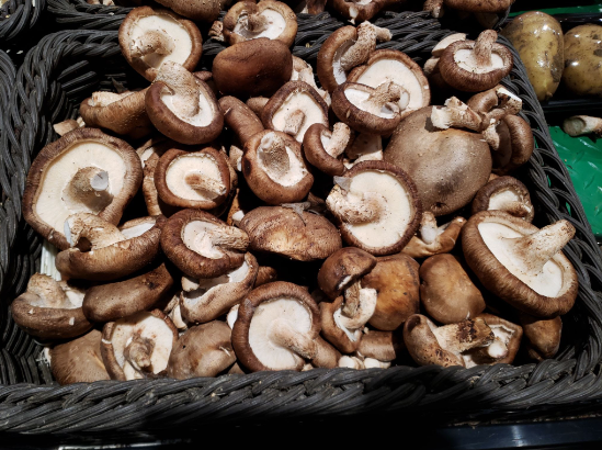 Shiitake dried mushroom (Lentinus (Berk.) Pegler)