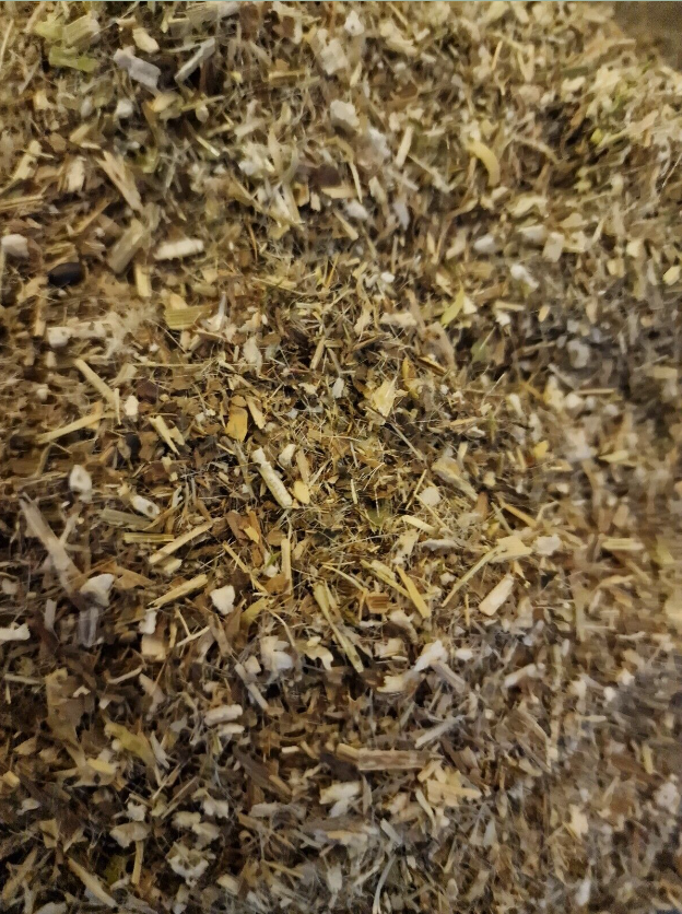 Cabbage Thistle herb tea(Cirsium oleraceum (L.)Scop.)