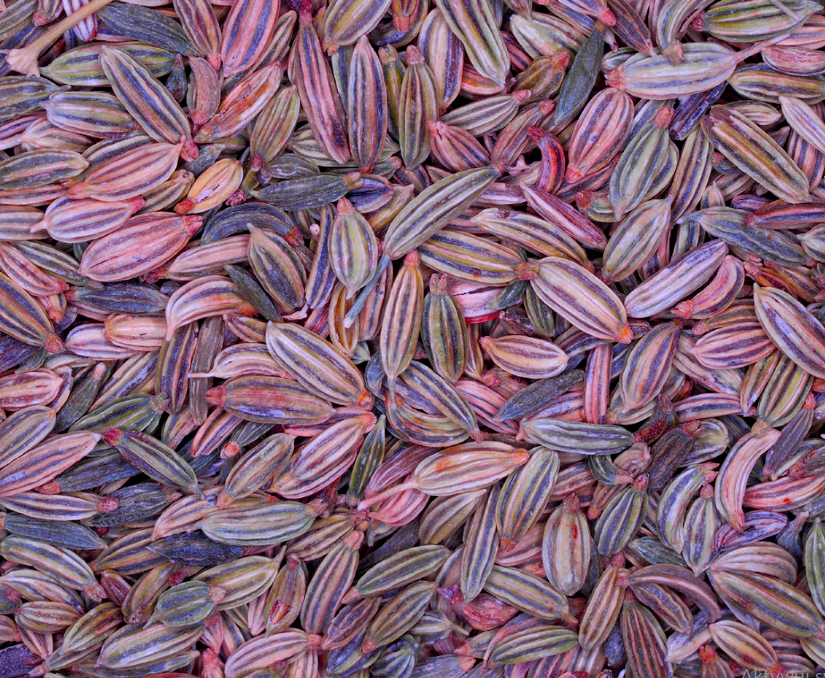 Fennel seeds tea (Foeniculum vulgare Mill.)