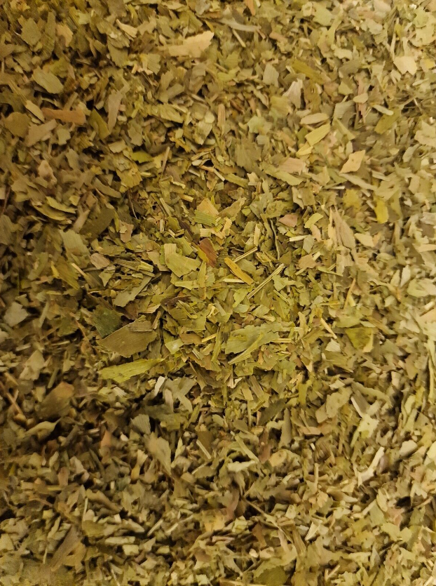 Ginkgo leaf tea (Ginkgo biloba L.) Lab-proven Quality and Purity