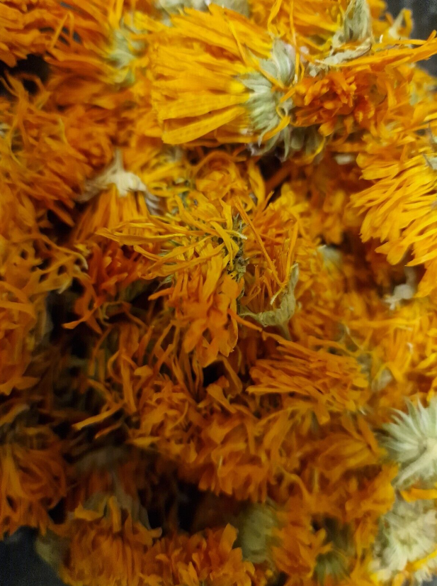 Marigold Flower tea(Calendula officinalis L.) Lab-proven Quality and Purity