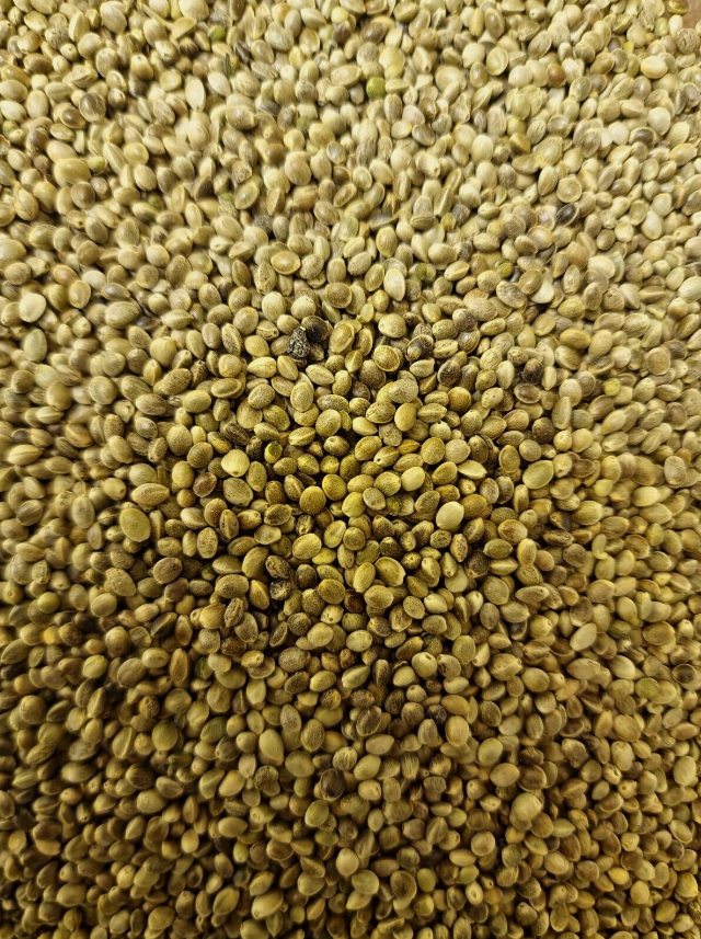 Hemp seeds unshelled Lab-proven Quality and Purity