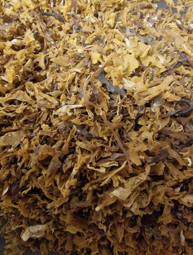 Irish moss algae tea (Chondrus crispus Stackh.) Lab-proven Quality and Purity