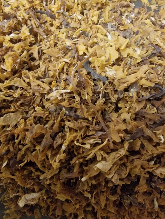 Irish moss algae tea (Chondrus crispus Stackh.)