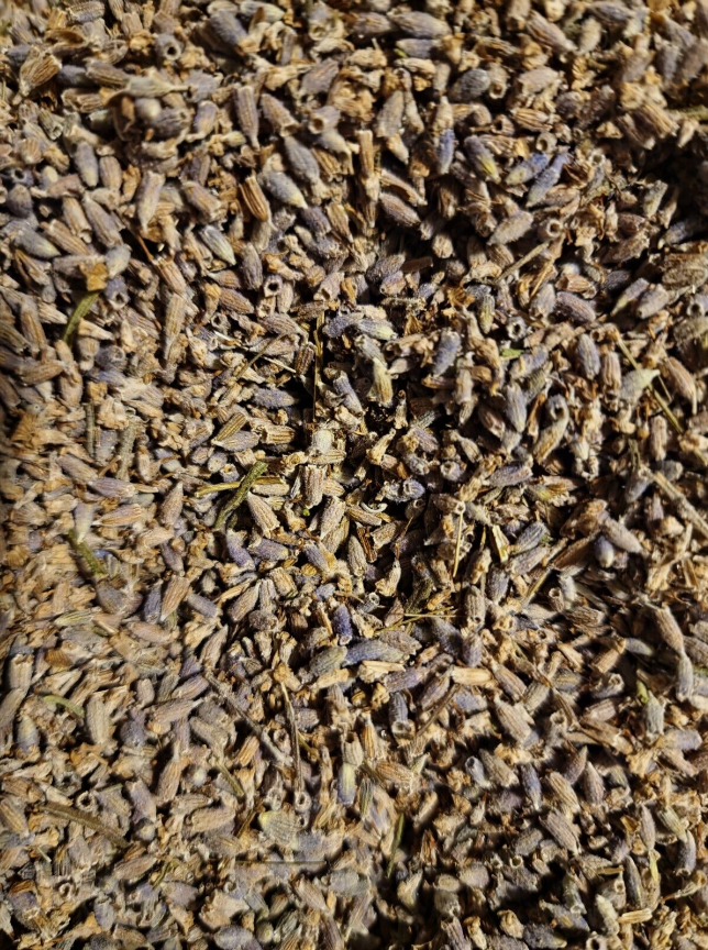 Lavender flower tea (Lavandula angustifolia Mill.)