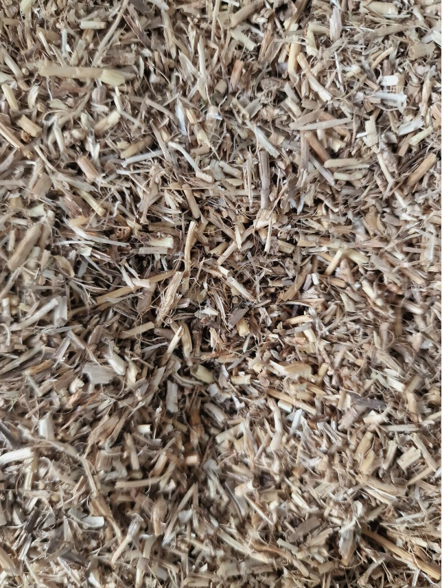 Couch grass root tea (Elymus repens (L.)Desv. ex Nevski.) ﻿Lab-proven Quality and Purity