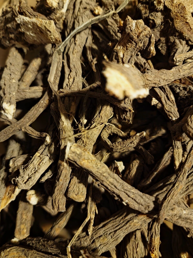 Lovage ground root tea (Levisticum officinale - W.D.J.Koch.)