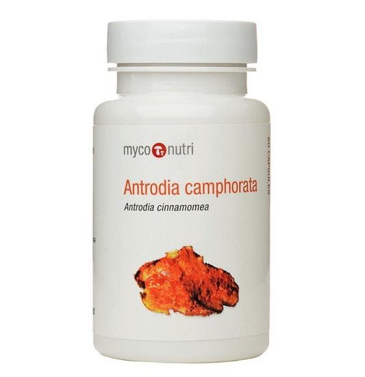 Myconutri Antrodia Mushroom Capsules (60 vegan caps)