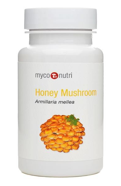 Myconutri Honey Mushroom (Armillaria mellea) Capsules (60 vegan caps)