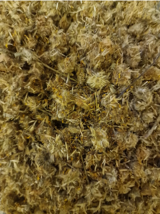 Mexican Arnica tea (Heterotheca inuloides Cass.)
