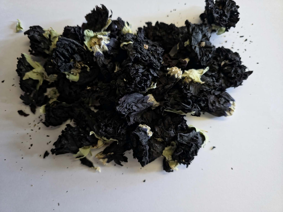 Whole dried Black Mallow flowers (Malva arborea) with dark purple-black petals and pale green calyxes on a white background for herbal infusions.