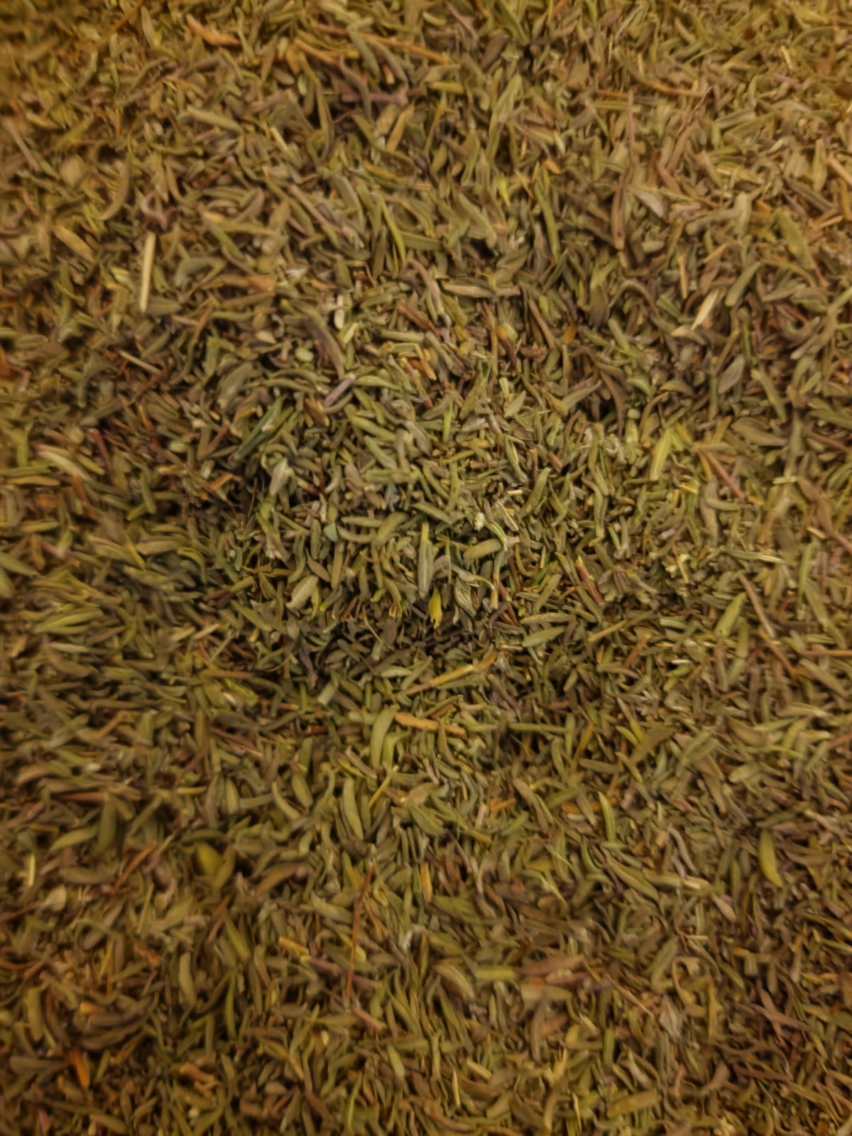 Practitioner grade dried cut thyme leaves (Thymus vulgaris) loose herbal tea for infusions and apothecary compounding.