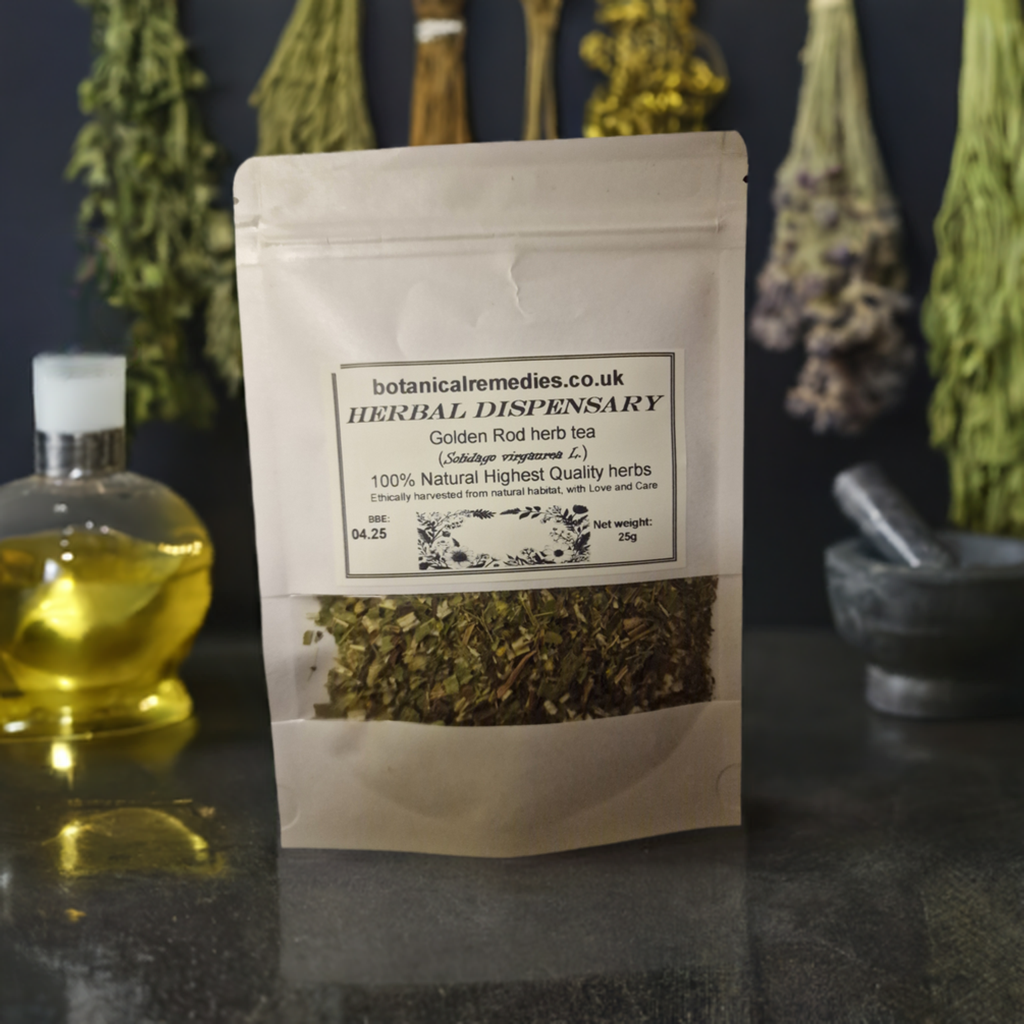 Goldenrod herb tea (Solidago virgaurea - L.)