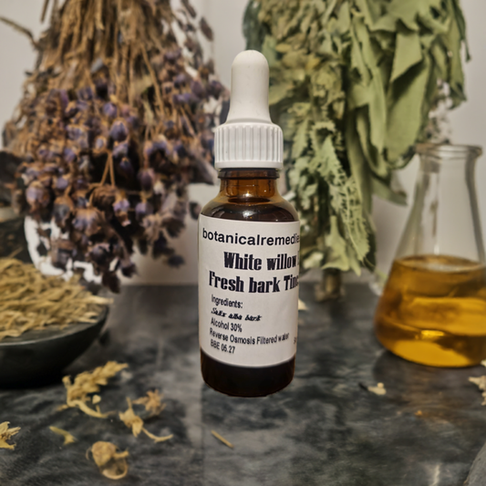 White Willow fresh bark Tincture (Salix alba L.)