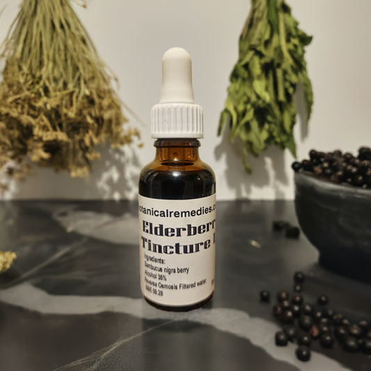 Elderberry fresh berry Tincture (Sambucus nigra L.)