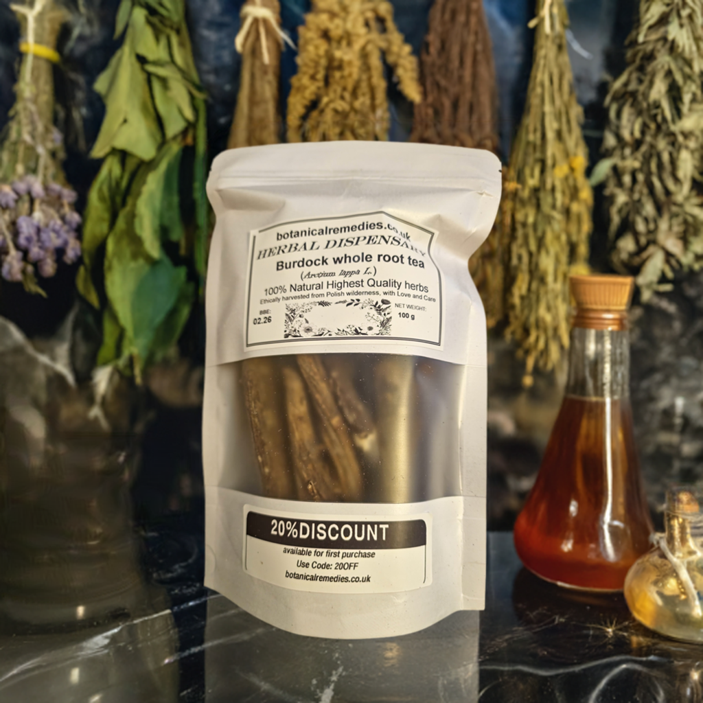 Burdock whole root herbal tea (Articum lappa L.)