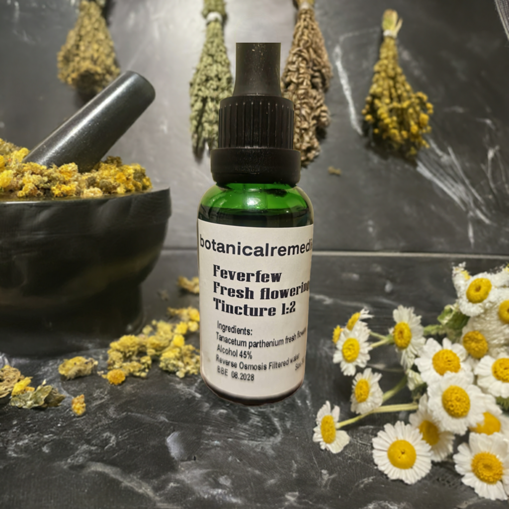 Feverfew fresh flowering tops Tincture