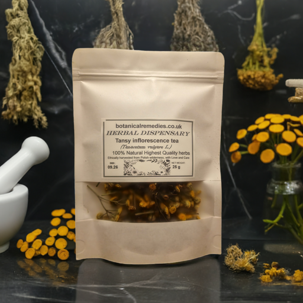 Tansy flower tea (Tanacetum vulgare L.)