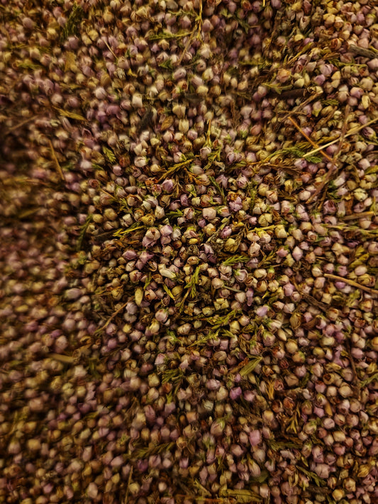 Close up of dried Heather flowers, an loose herbal tea, herbal remedy from Botanical remedies herbal dispensary