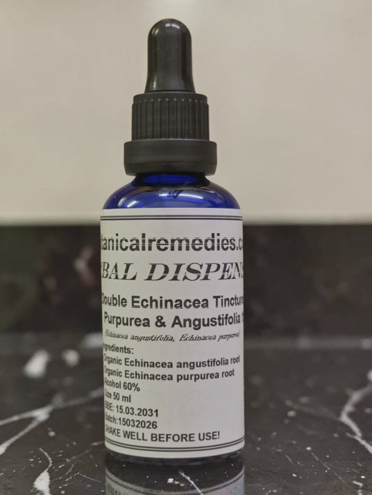 Droplet bottle with potent Alkylamide-rich double Echinacea tincture, combined Echinacea Purpurea root and Echinacea angustifolia root tinctures for immune support from Botanical Remedies herbal dispensary