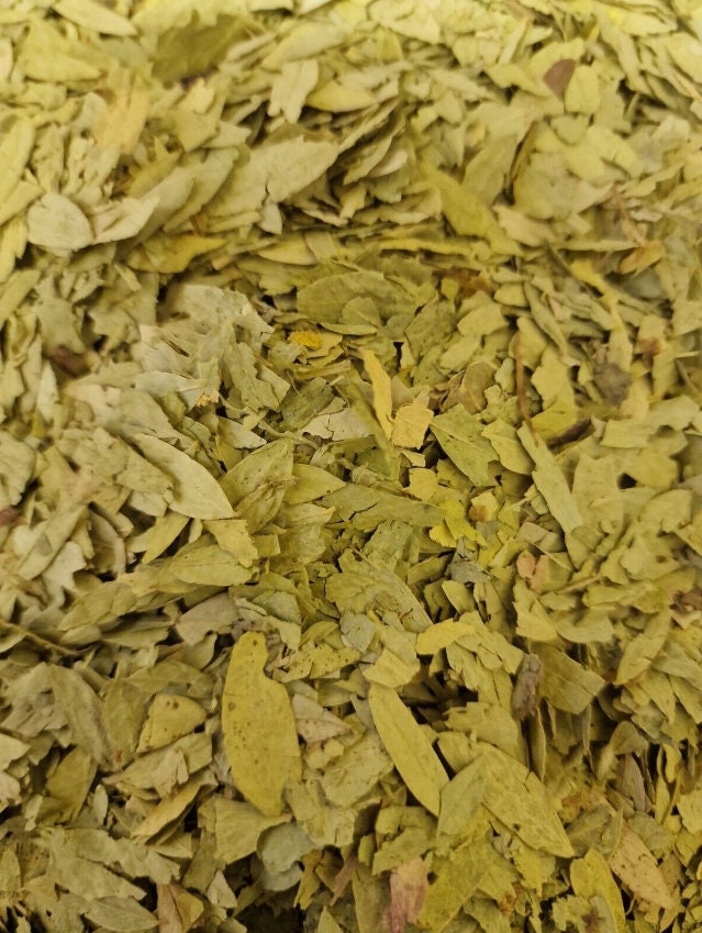 Senna Leaf Dried tea Sana Makki Senes Lab-proven Quality and Purity