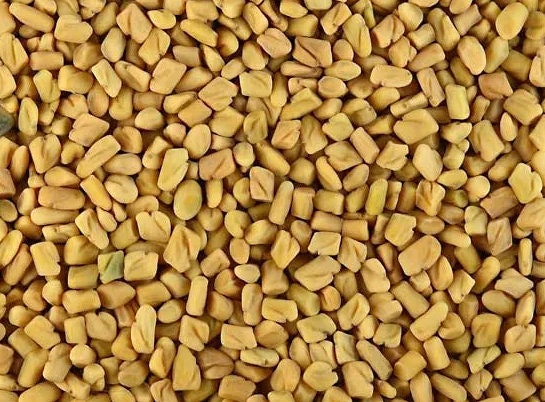 Fenugreek seeds tea (Trigonella foenum-graecum L.)