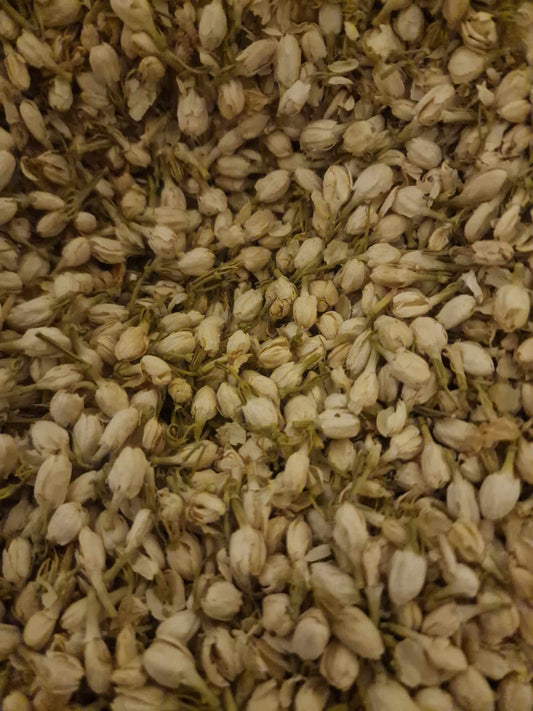 Jasmine buds tea (Jasminum officinale - L.)