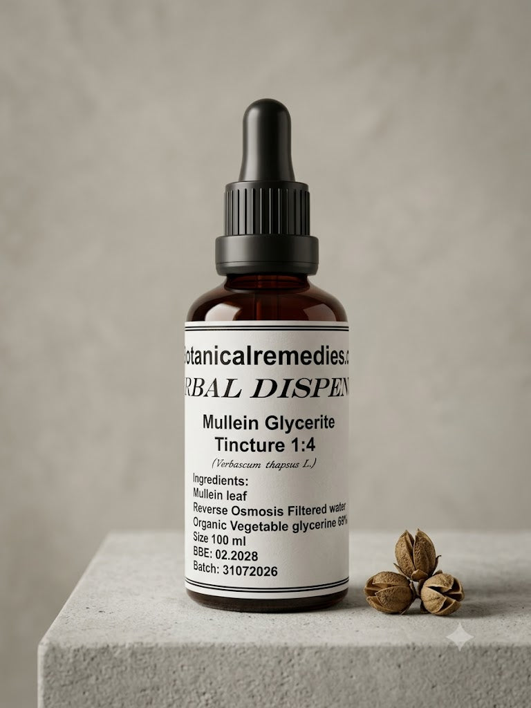 A clean product view of Premium Mullein Leaf Glycerite Tincture (Verbascum thapsus) 1:4 in an amber glass dropper bottle, highlighting a 100% alcohol-free organic glycerine extract.