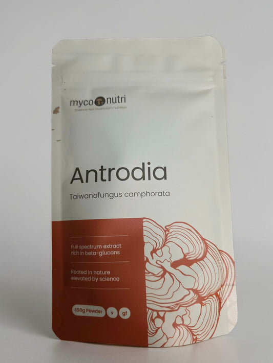 Front view of the clean white and orange MycoNutri Antrodia 100g powder pouch against a minimalist white studio background. The label indicates a 100g powder format, featuring a vibrant botanical illustration of the target mushroom, Taiwanofungus camphorata, formulated for deep systemic support