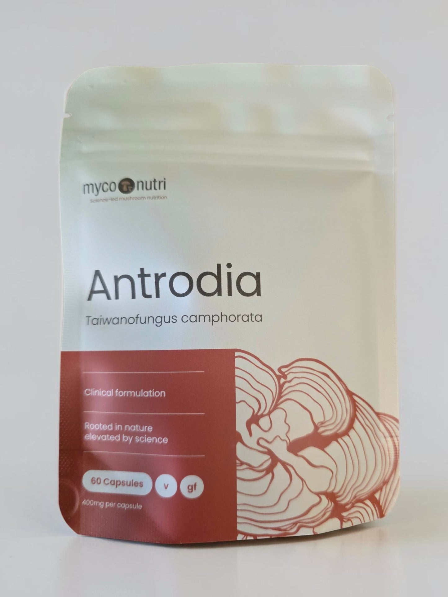 Front view of the clean white and orange MycoNutri Antrodia 60 capsules pouch against a minimalist white studio background. The label indicates 60 capsules with 400mg of Antrodia camphorata per capsule, showcasing the distinct mushroom botanical illustration for targeted clinical use