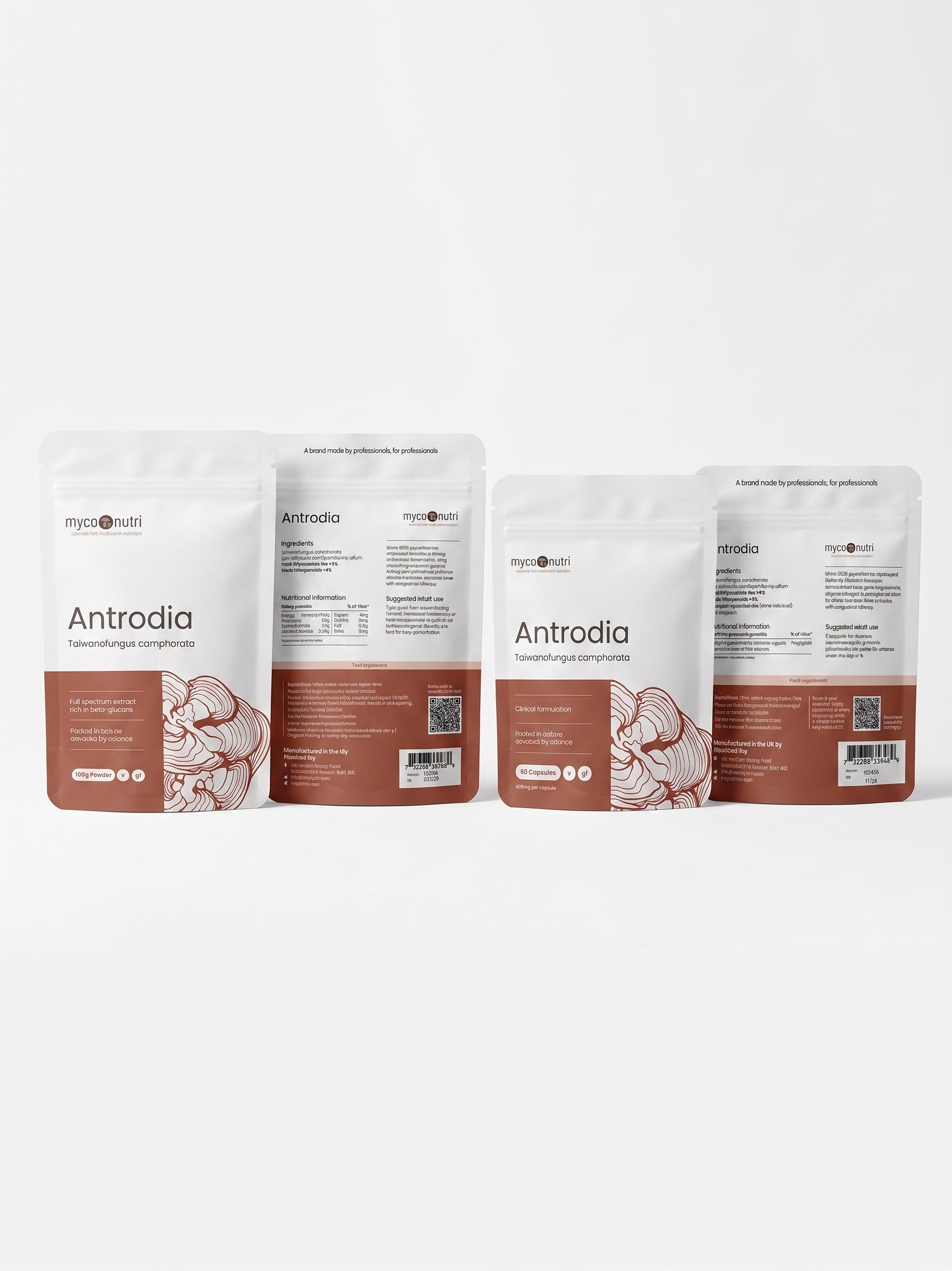 A professional studio group photograph against a clean white background, showcasing all four provided individual individual product views of the MycoNutri Antrodia dispensary range. Neatly arranged from left to right on a minimalist surface are: the front and back of the 100g powder pouch, and the front and back of the 60 capsules pouch. All critical label text, guaranteed constituent minimums, barcodes, and batch details are perfectly legible, demonstrating MycoNutri's uncompromising clinical standards