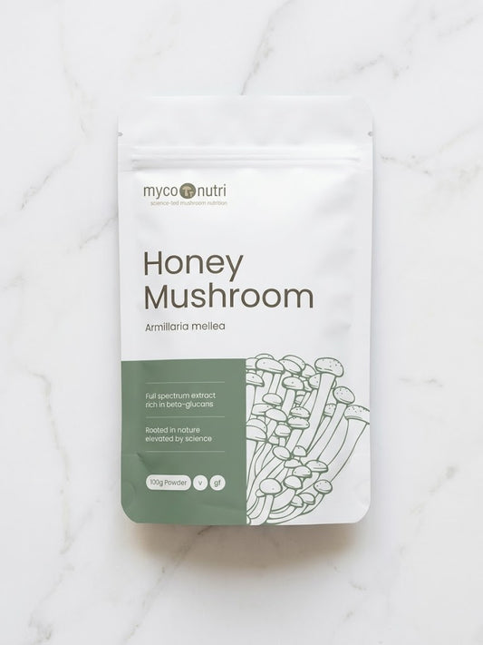 Front of MycoNutri Honey Mushroom (Armillaria mellea) 100g powder pouch resting on a minimalist white marble table