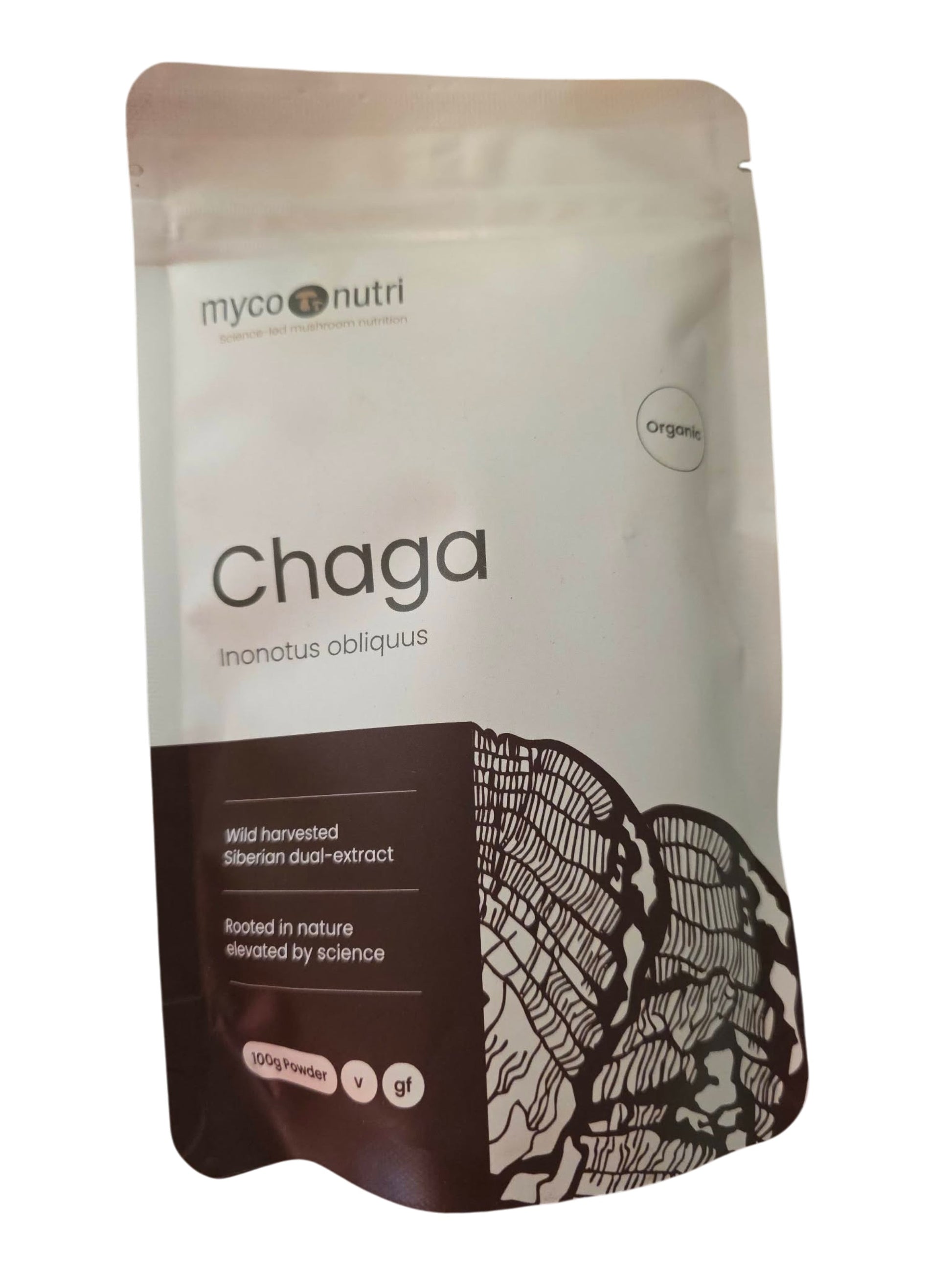 Front view of the clean white and dark brown MycoNutri Organic Chaga 100g powder pouch. The label highlights that it is a wild-harvested Siberian dual-extract formulated for antioxidant support, featuring a detailed botanical cross-section illustration of a mature Chaga conk