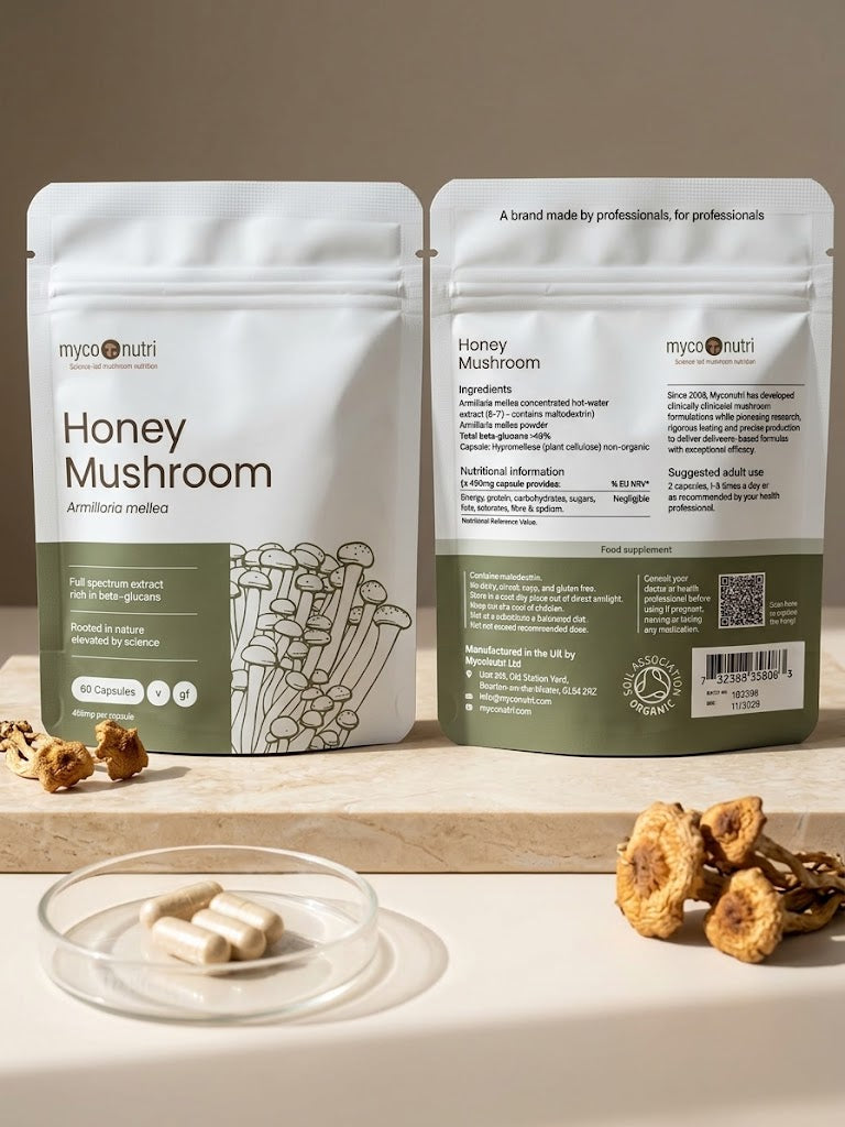 Front and back view of the MycoNutri Organic Honey Mushroom (Armillaria mellea) pouches on a pale stone surface, showcasing a glass dish of 450mg vegan capsules alongside dried fruiting bodies.