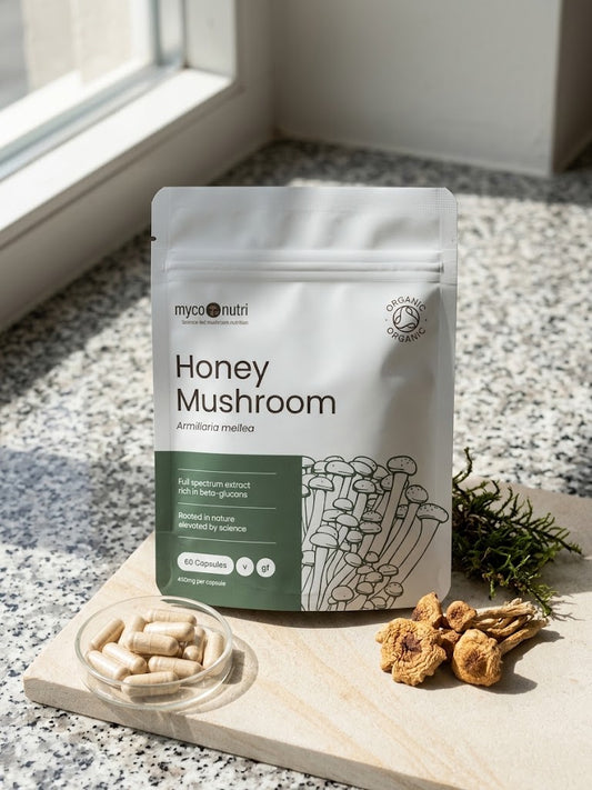 Front view of the MycoNutri Organic Honey Mushroom pouch in natural sunlight, featuring a beautiful botanical display with dried Armillaria mellea mushrooms, green moss, and 60 vegan capsules.
