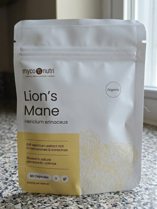 Front view of MycoNutri Organic Lion's Mane pouch on a granite surface, showing 60 vegan capsules (500mg per capsule) rich in hericenones and erinacines.