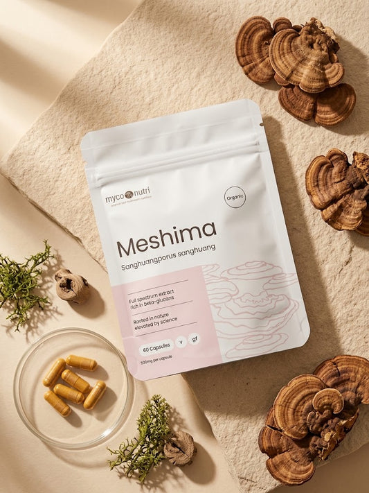 Front view of the MycoNutri Organic Meshima pouch resting on a natural stone surface, surrounded by dried Sanghuangporus sanghuang fruiting bodies, botanical moss, and a glass dish displaying the 500mg vegan capsules.