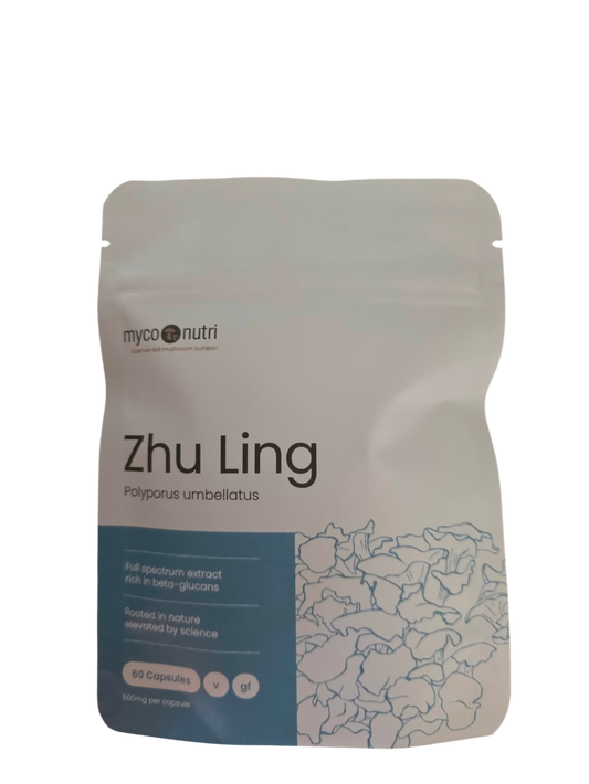 Front view of the clean white and light blue MycoNutri Zhu Ling 60 capsules pouch against a minimalist background. The label clearly indicates it contains 60 vegan capsules, with 500mg of full-spectrum Polyporus umbellatus extract per capsule