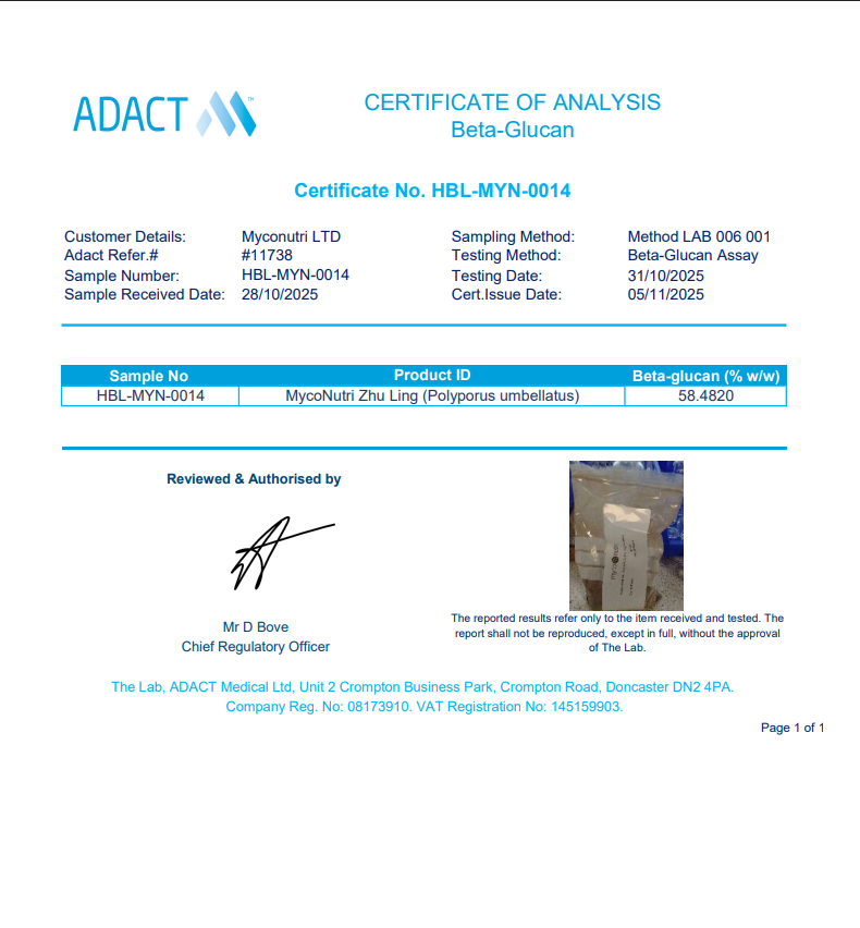 An official third-party Certificate of Analysis document from ADACT Medical Ltd for MycoNutri Zhu Ling (Polyporus umbellatus). The clinical testing results verify an exceptionally high Beta-glucan assay yield of 58.48%, far exceeding the baseline label guarantee of 40%