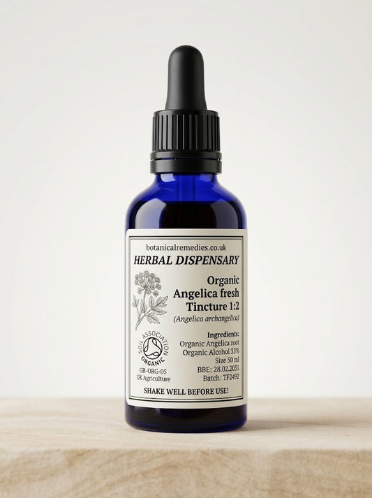 Soil Association Certified Organic Fresh Angelica Root Tincture 1:2 (Angelica archangelica) 35% ABV amber glass dropper bottle.