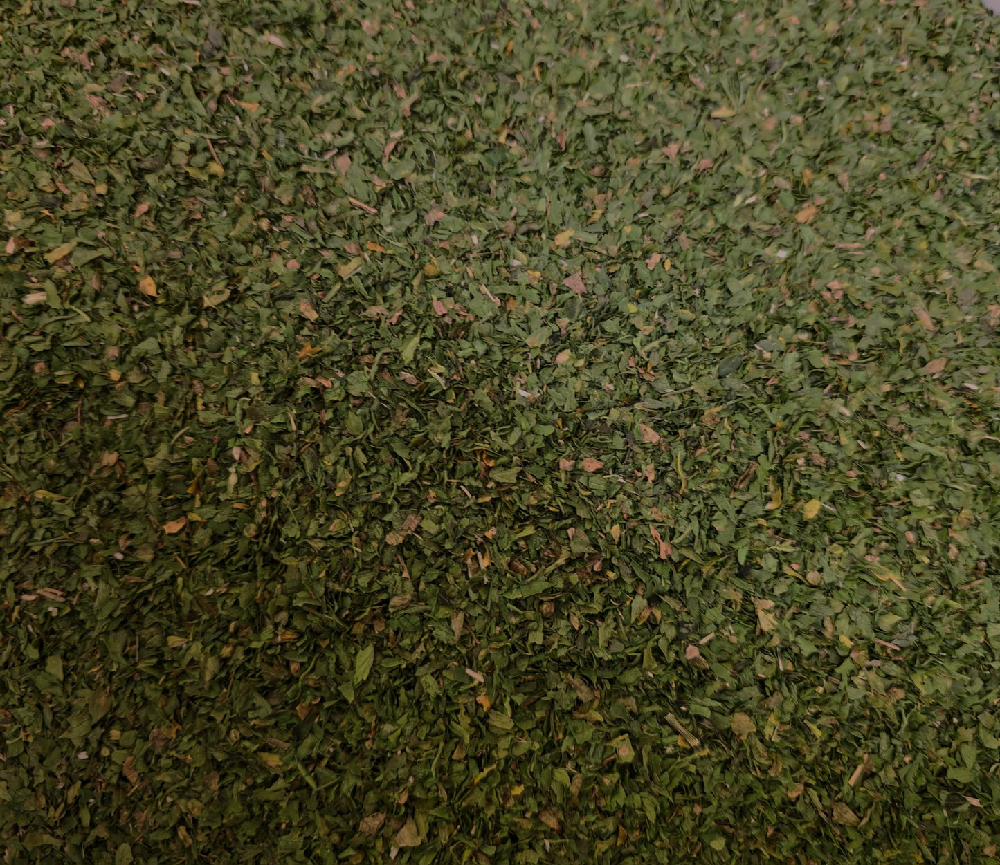 A close-up view of vibrant, finely milled Organic Parsley Leaf. A premium botanical manufactured to strict GMP and HACCP standards.