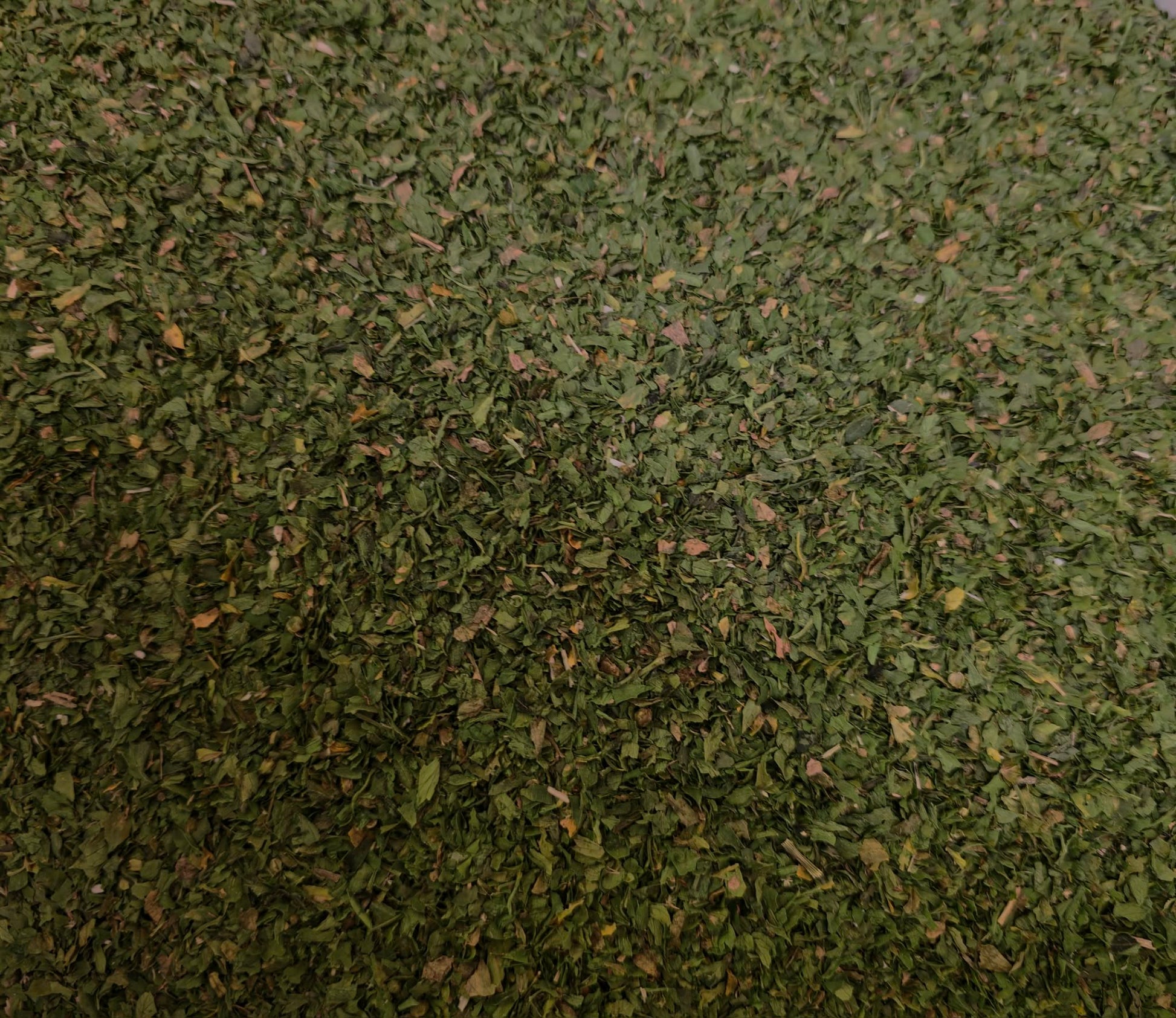 A close-up view of vibrant, finely milled Organic Parsley Leaf. A premium botanical manufactured to strict GMP and HACCP standards.