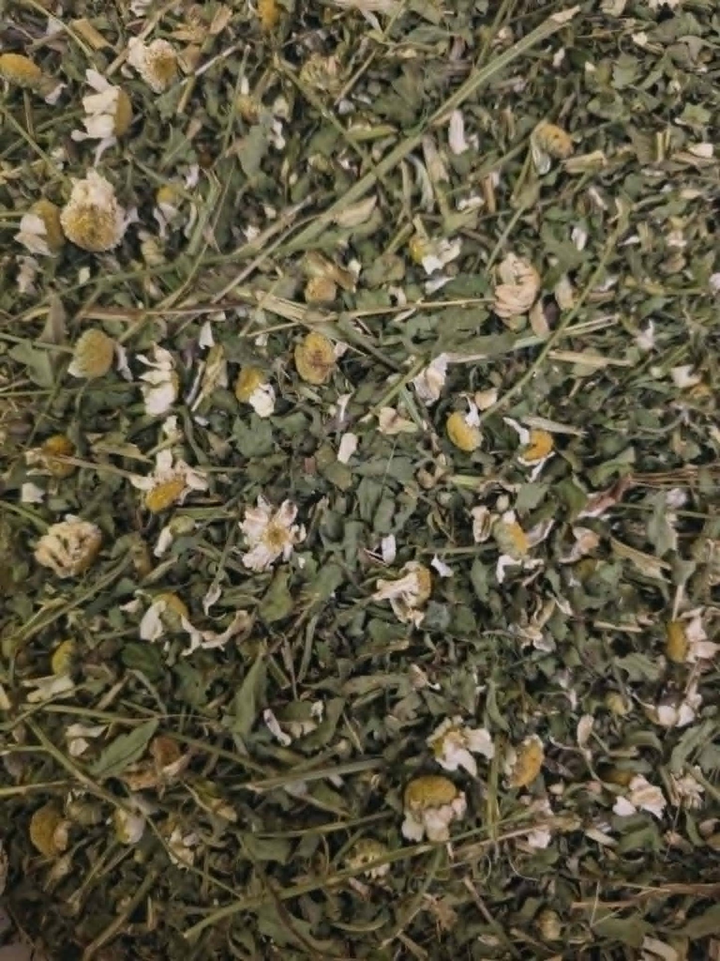 A highly detailed close-up showing the rich texture of dried Organic Feverfew herb (Tanacetum parthenium), featuring vibrant green chopped leaves and traditional daisy-like flower heads.