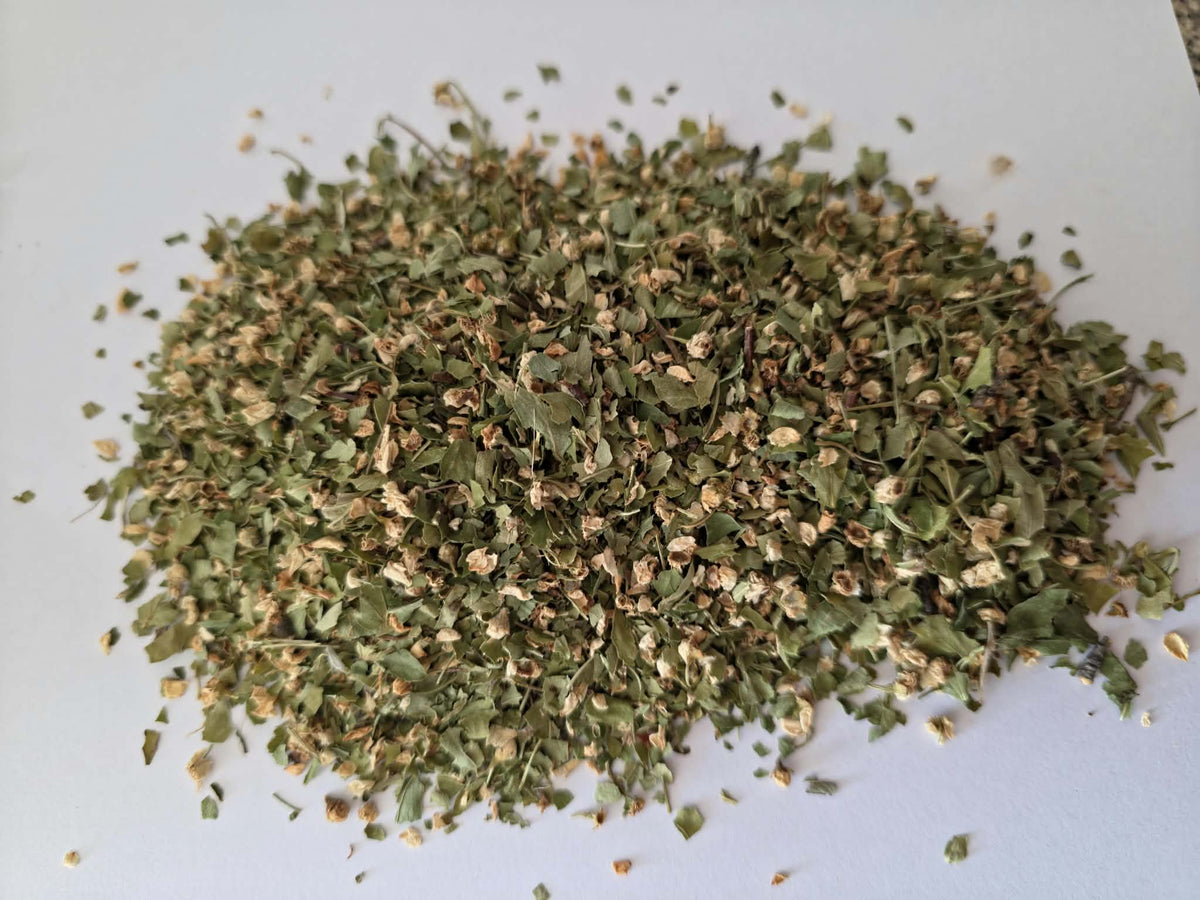 Pure dried Organic Hawthorn leaf and flower cut (Crataegus monogyna) showing green foliage and pale blossoms on a white background for herbal tea infusions.