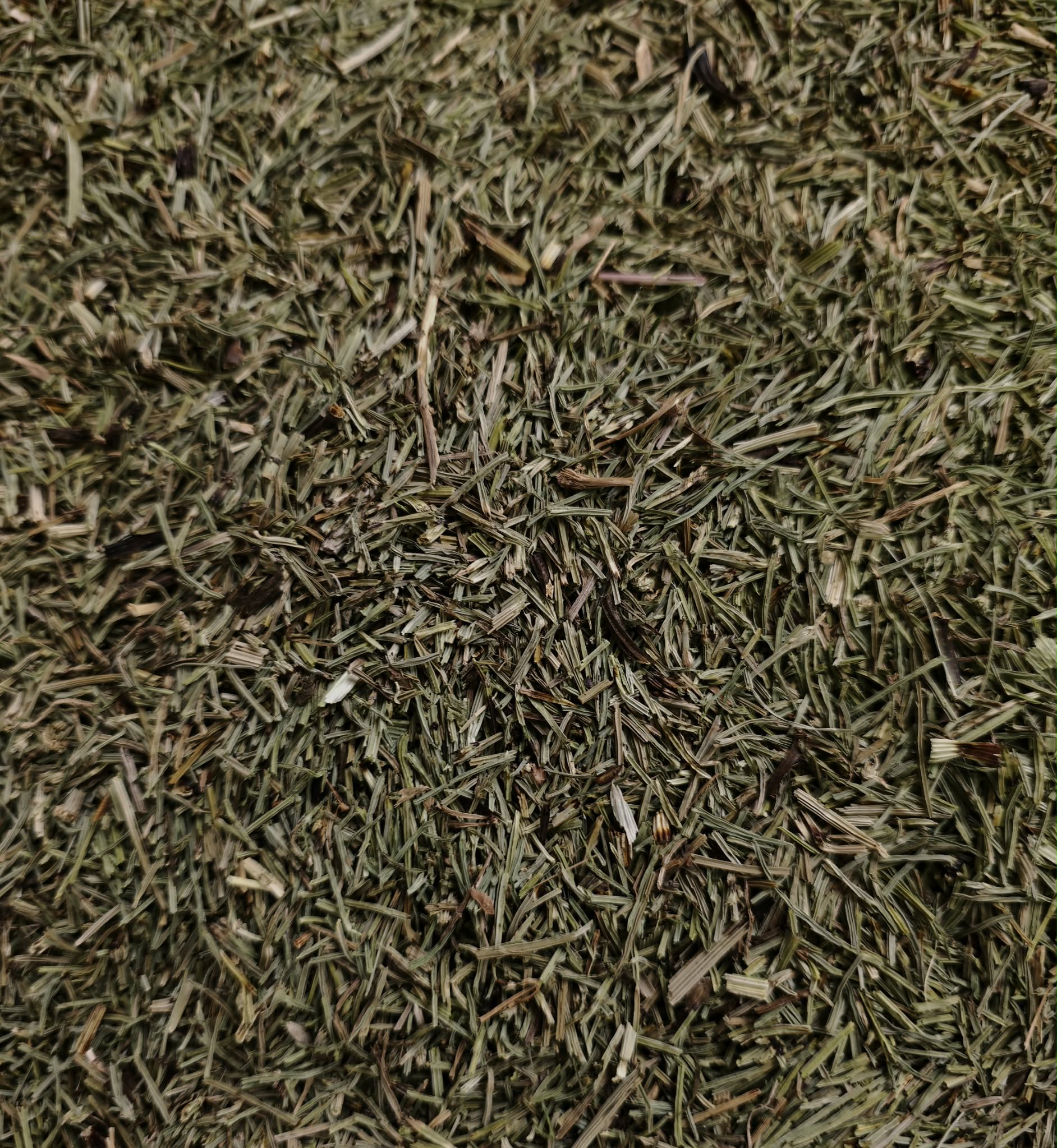 Close-up of premium dried and chopped organic horsetail herb, featuring its characteristic textured, green, grass-like stems.