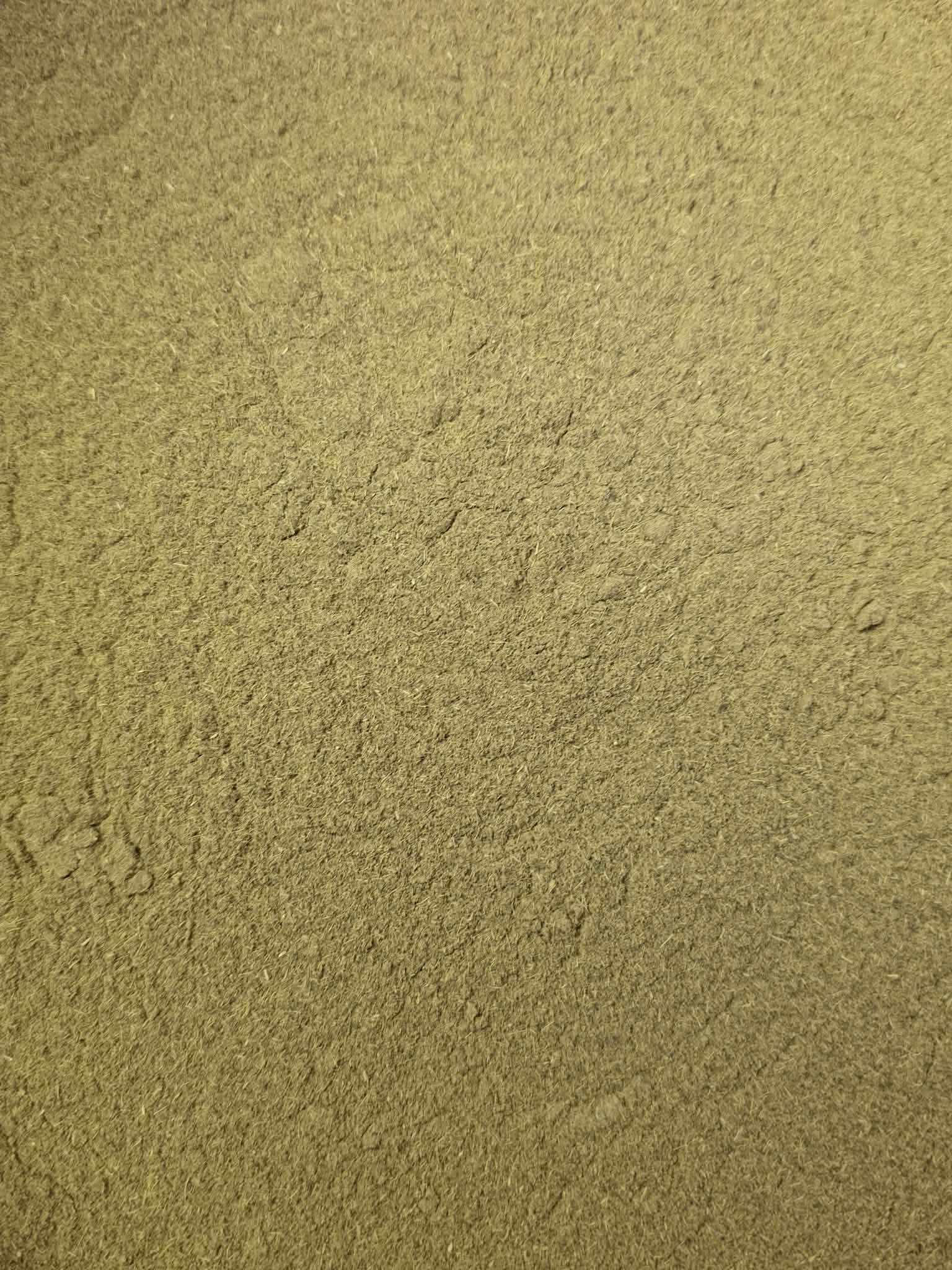 A close-up, highly detailed texture shot of premium, finely milled Organic Spanish Liquorice root powder (Glycyrrhiza glabra), showing its natural cream and beige color profile.
