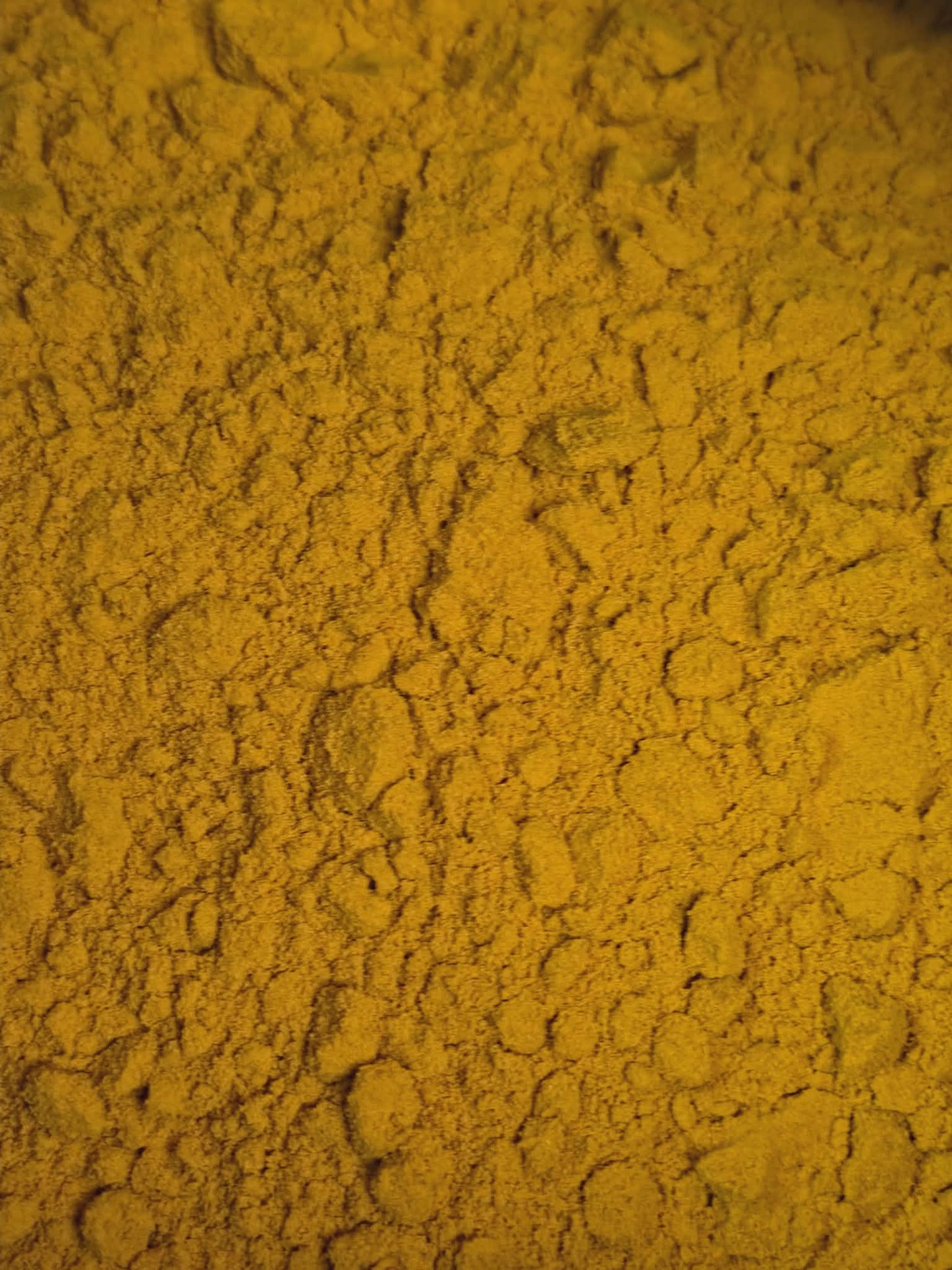 A close-up, highly detailed texture shot of premium Organic Turmeric Root powder (Curcuma longa), showing its vibrant golden-orange colour and finely milled, free-flowing consistency