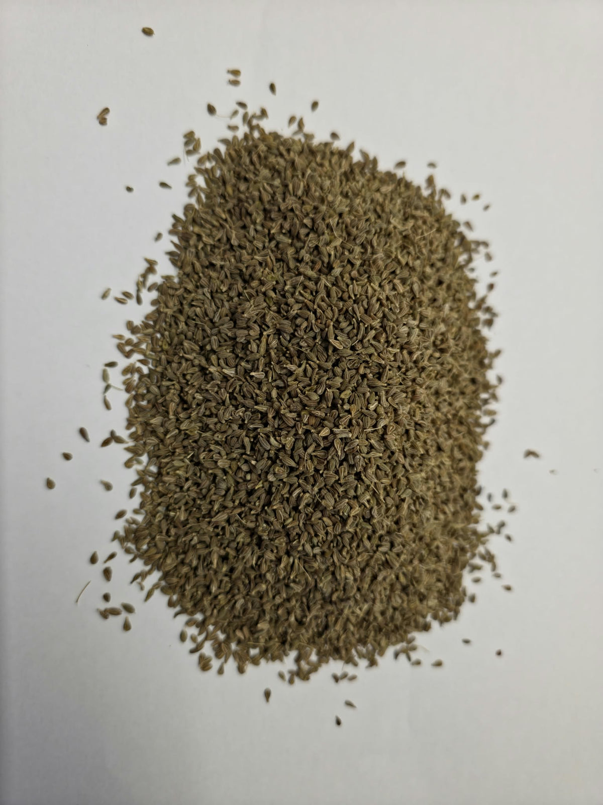 Soil Association Certified Organic Egyptian whole anise seeds (Pimpinella anisum) displaying un-pulverized yellowish-green to grey ovoid seeds for herbal tea and baking.