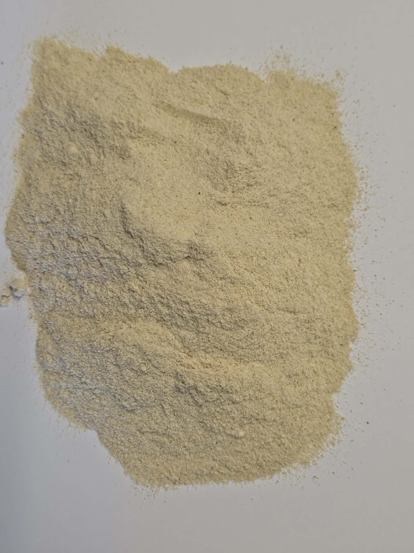 Overhead close-up photograph showing the fine texture and light tan color of finely milled 5 years old Premium Panax Ginseng root powder spread on a plain white surfac